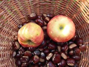 mele-castagne-merenda-autunno