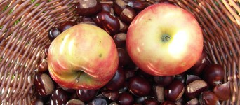 mele-castagne-merenda-autunno